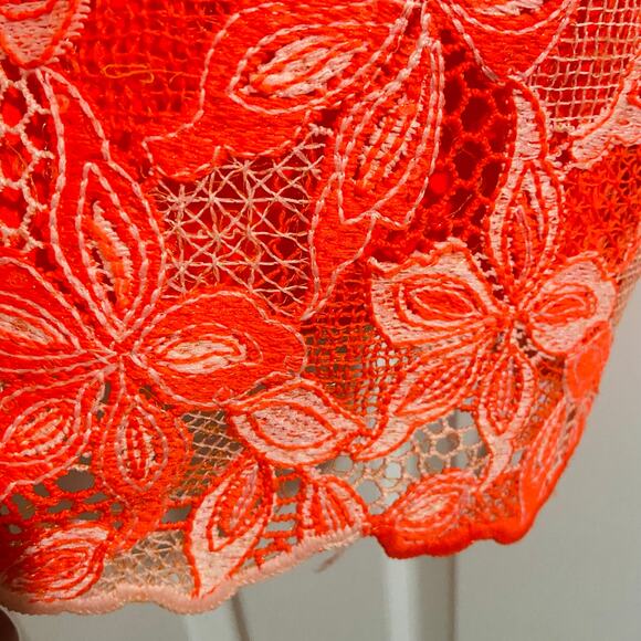 Alex Marie Crystal Embroidered Lace Sleeveless Dress, Sz 4 -- NWT - Picture 4 of 11